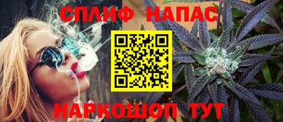 стаф Будённовск