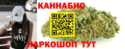 стаф Будённовск