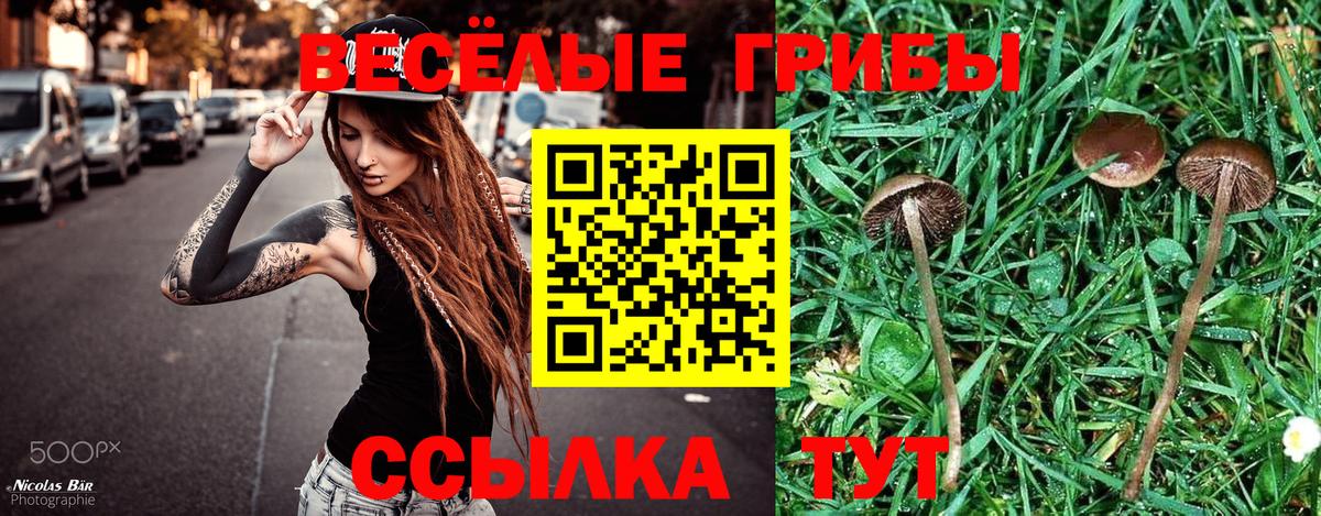 Псилоцибиновые грибы MAGIC MUSHROOMS Норильск