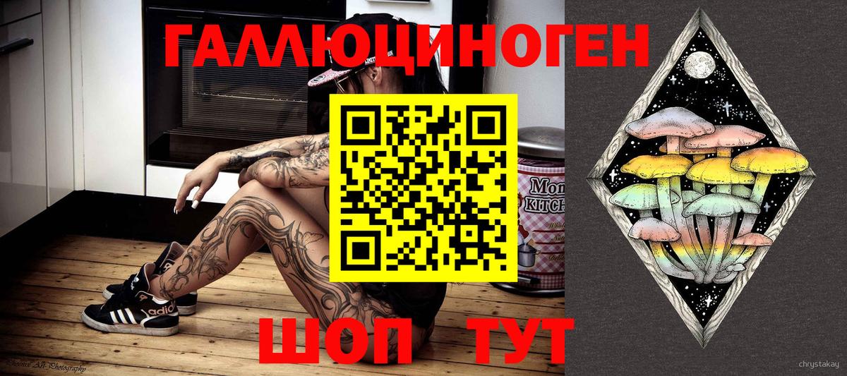 Норильск  Галлюциногенные грибы Cubensis  Вход с VPN 